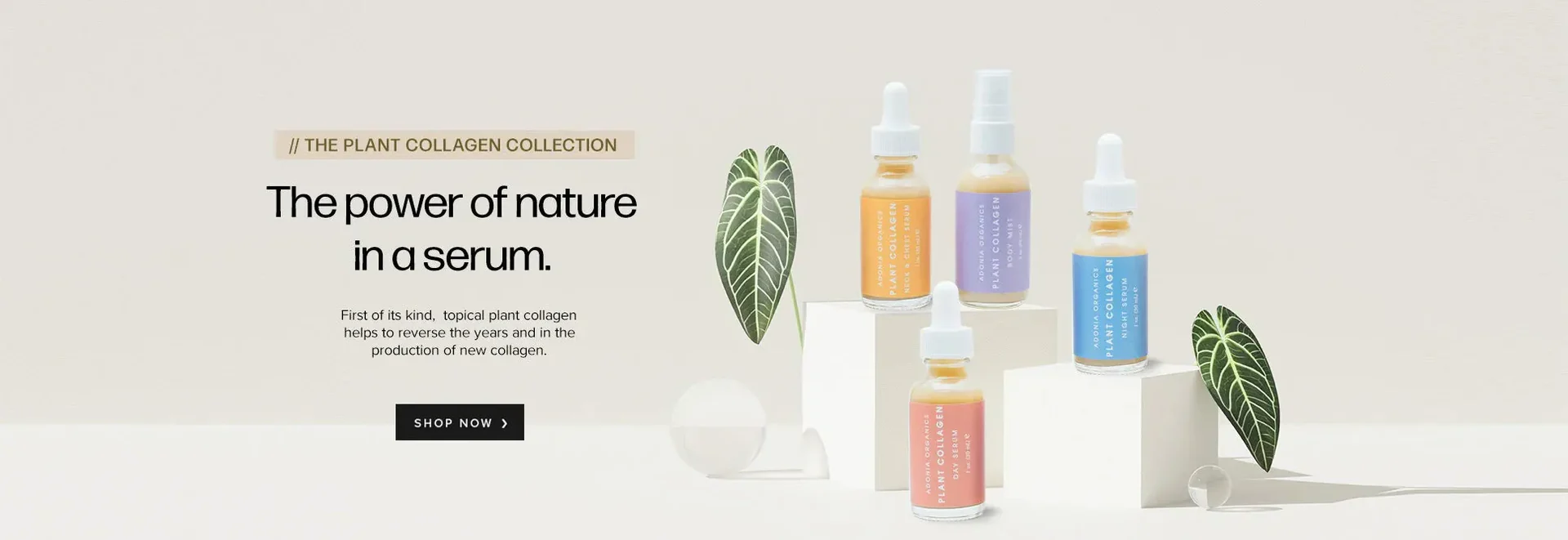 Ageless Beauty, Naturally Refined